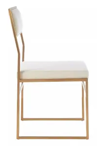 Interiors by Premier Elegant Design Dining Chair, Durable And Functional Restaurant Chair, Comfortable Modern Dining Chair