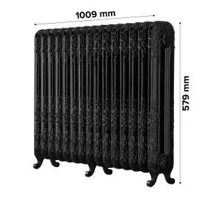 Arroll Daisy Cast iron Black 15 Column Radiator, (W)1009mm x (H)597mm