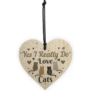 Red Ocean Funny Cat Sign For Home Wooden Heart Friendship Gift Pet Lover Plaque Keepsake