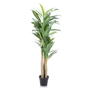 Alfresia Artificial Plant, Thin Leaf, Indoor or Outdoor Use