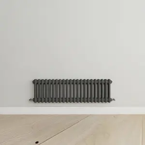 Horizontal Anthracite Double Column Radiator (H) 300mm x (W) 1010mm, 2304 BTU.