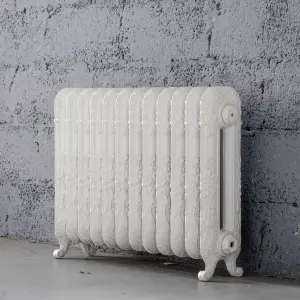 Arroll Daisy Cast iron White 12 Column Radiator, (W)814mm x (H)597mm