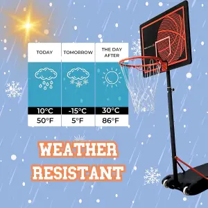 Basketball Hoop & Stand - Pro Impact ZY-010 by Bee-Ball - Adjustable Stand with Reinforced Backboard: 1.6-2.6 Meters