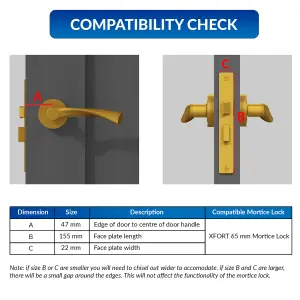 XFORT 3 Lever Polished Brass Mortice Sashlock 65mm