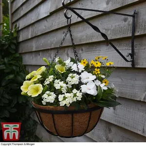 30cm Metal Hanging Basket with Coco Liner and Wall Bracket Garden Set Ideal for trailing plants (2)