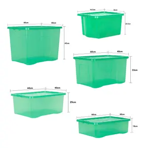 Wham 5 Piece Multisize Crystal Stackable Plastic Storage Box & Lid Set Tint Leprechaun Green