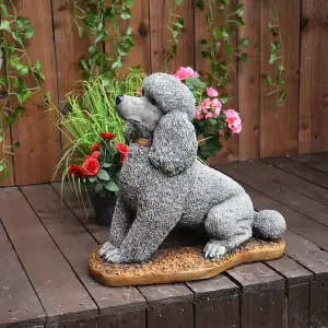 Stone Cast Sitting Poodle Statue