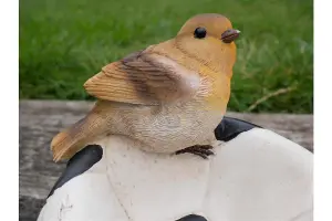 Robin on a Football Bird Feeder Small