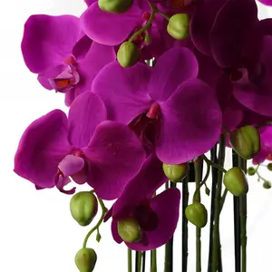 150cm Giant Purple Orchid Plant - Artificial - 189 flowers REAL TOUCH