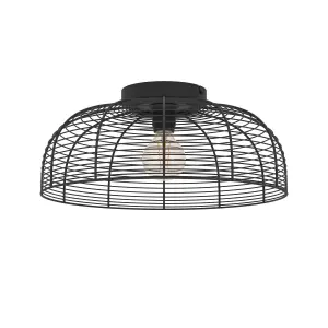 EGLO Rinroe Blac Steel Wire Ceiling Light