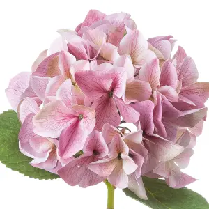 UK Homeliving Shabby Pink Single Hydrangea