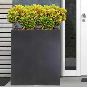 Set of 2 IDEALIST™ 92cm Tall Trough Garden Planters, Dark Grey Reinforced Stone Outdoor Large Plant Pots H92 L80 W30 cm, 227L