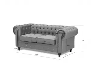 Chesterfield Pleat Velvet Fabric 2 Seater Sofa, Grey Velvet