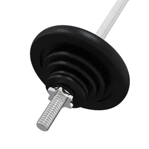 Barbell with Plates 90 kg Cast Iron