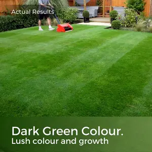 Dark Green Grass Seed - Lawn Seed (15-45m²)