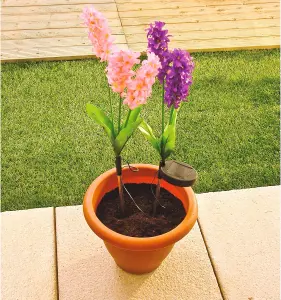 2 x Hyacinth Style Solar Stake Lights - Pink & Purple Flower Shaped Outdoor Garden Lighting Decorations - Each Measure H70cm