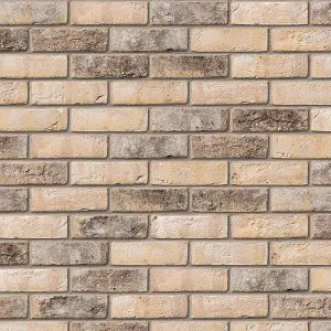 Ibstock New Ivanhoe Cream Brick 65mm Mini Pack 250