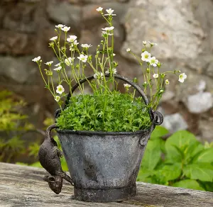 Antique Bronze Coloured Mouse Pot Buddy Plant Pot Hanger - L10.5 x W4.5 x H5 cm