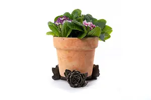 Rose Plant Pot Feet - Set of 3 - L6 x W7.5 x H9 cm