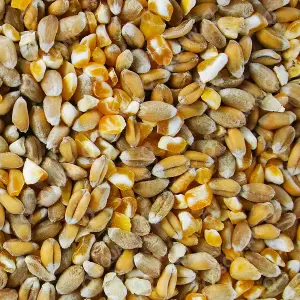 10L SQUAWK Mixed Poultry Corn - Nutritious Protein Rich Food For Chicken Geese Duck