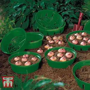 Flower Bulb Planting Baskets - 3 pack