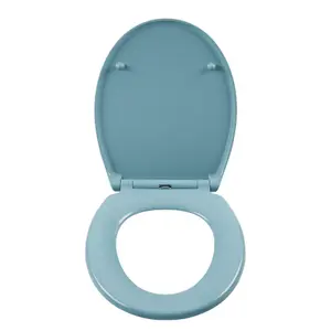 Cooke & Lewis Diani Blue Round Soft close Toilet seat