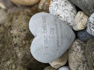 Beloved Dog Heart-Shaped Pet Memorial