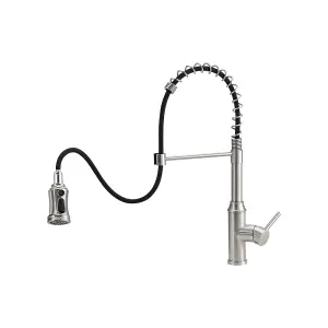 Silver Stainless Steel Side Lever Kitchen Spring Neck Pull Out Kitchen Tap Mixer Tap