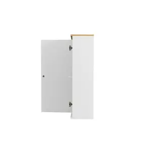 Zoraida 37cm x 21cm Wall Mounted Cabinet