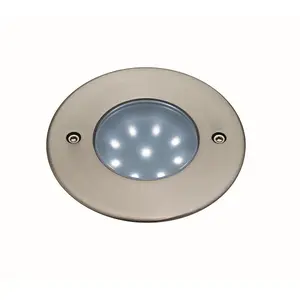 Luminosa LED 9 Light Walkover Recessed Light Stainless Steel, White IP68