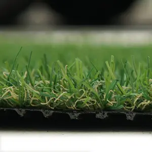 Fern 20mm Soft Outdoor Artificial Grass, Value For Money, Pet-Friendly Artificial Grass-17m(55'9") X 4m(13'1")-68m²