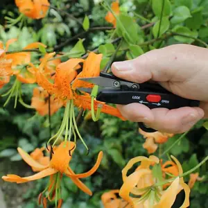 Darlac DP125 Deadheading Snips Pruners Secateurs Scissors Flower De-Heading Tool