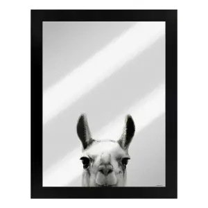 Inquisitive Creatures Llama Mirrored Plaque Black/Silver (One Size)