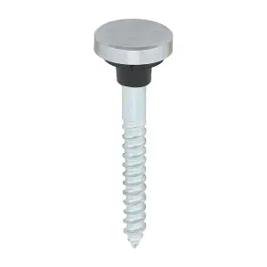 TIMCO Mirror Screws Flat Head Chrome - 8 x 1 1/2