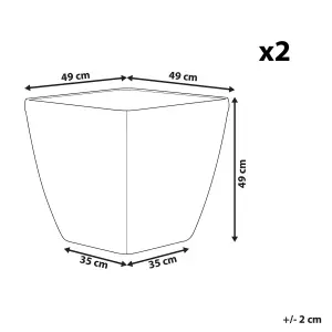 Set of 2 Plant Pots 50 x 50 x 48 cm Silver ASTRAS