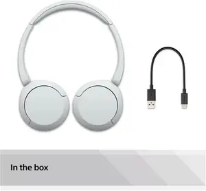 Sony WH-CH520 Bluetooth Wireless On-Ear Headphones With Mic/Remote