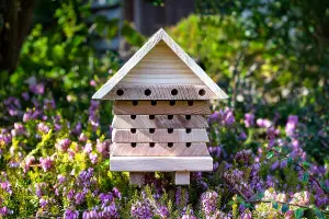 Wildlife World Interactive Solitary Bee Hive