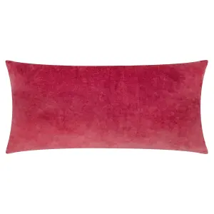 Paoletti Laurel Embroidered Velvet Polyester Filled Cushion