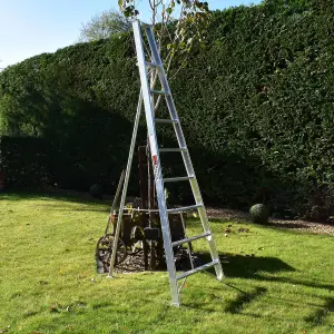 8 Step Home Master Fixed Tripod Gardening Ladder