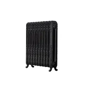 Arroll Daisy Cast iron Black 10 Column Radiator, (W)684mm x (H)597mm