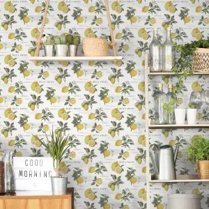 Galerie Just Kitchens White Citron Botanical Wallpaper Roll