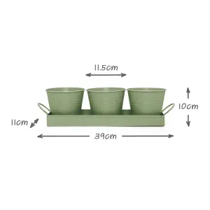 Set of 3 - Indoor Metal Plant Pots and Stand Tray - SAGE GREEN