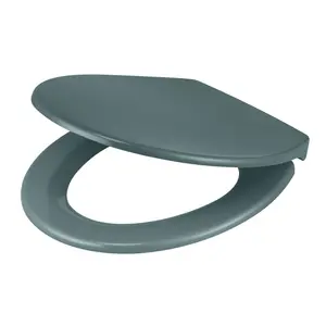 GoodHome Diani Green Standard Soft close Toilet seat