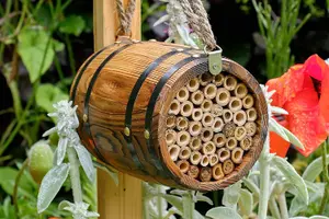 The Wildlife World Bee Barrel For Solitary Bees