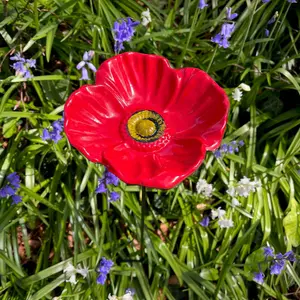 Floral Bird Feeders - Poppy, Daffodil, Sunflower, Daisy & Forget Me Not