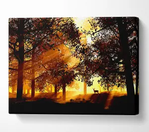 Sunrays Through The Deer Forest Canvas Print Wall Art - Medium 20 x 32 Inches