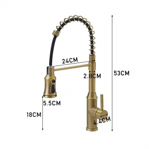 Gold Stainless Steel Side Lever Kitchen Spring Neck Kitchen Tap Mixer Tap