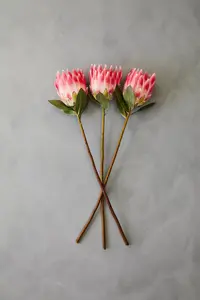 Fiori 62cm Protea Stem Pink Flower Artificial Plant Foliage