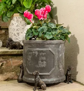 Weimaraner Plant Pot Feet - Set of 3