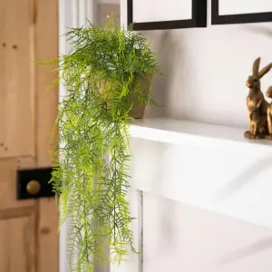 Blooming Artificial - 80cm / 2.5ft Fake Hanging Plumosus Fern